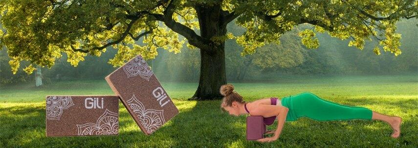 BLOCO DE YOGA: SAIBA POR QUE S�O IMPORTANTES E QUAL MATERIAL USAR
