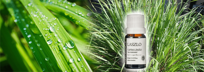 Aromaterapia: Capim Lim�o e seus benef�cios