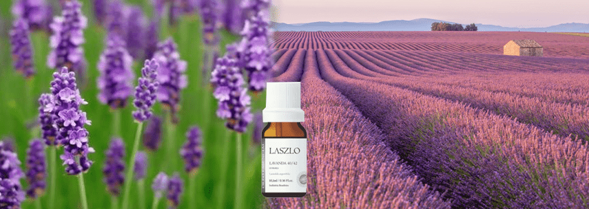 Aromaterapia: Lavanda e seus benef�cios.