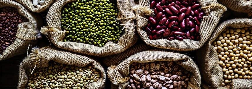 Nutri��o hol�stica: conhe�a essa filosofia alimentar que equilibra o corpo e mente