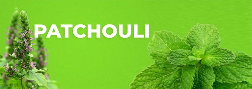 Aromaterapia: Patchouli e seus benef�cios