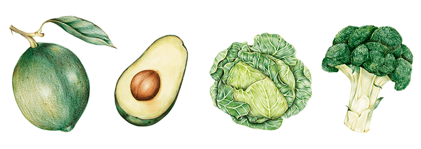 ALIMENTOS PR�NICOS: SAIBA O QUE S�O E PARA QUE SERVEM