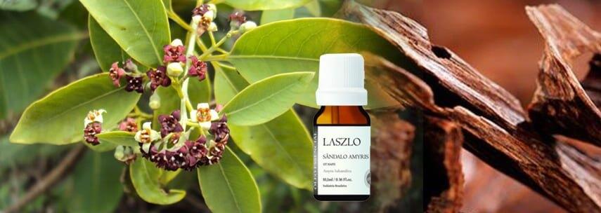 Aromaterapia: S�ndalo e seus benef�cios