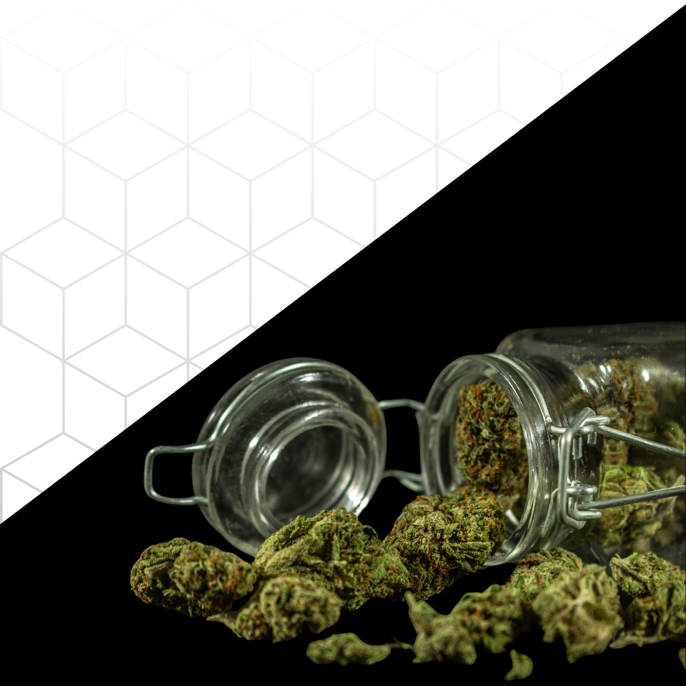 Como preservar maconha do jeito certo? Um guia detalhado!