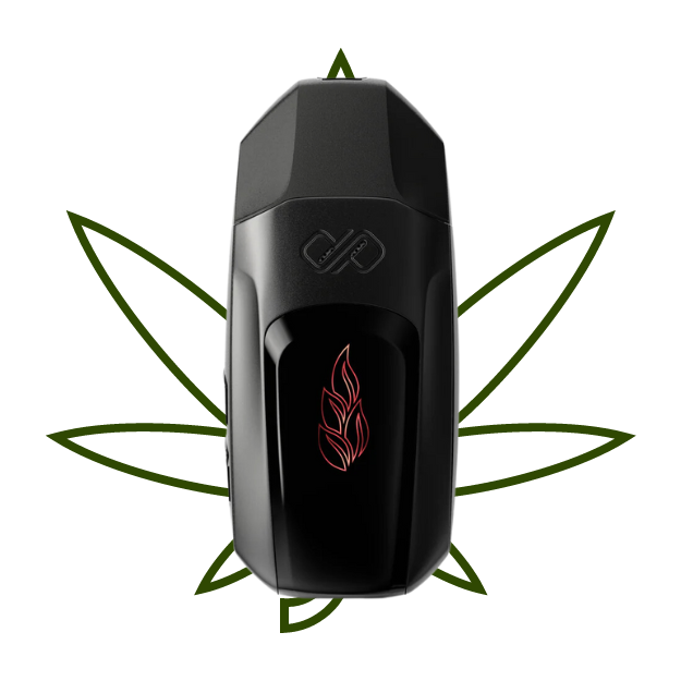 Review do vaporizador de ervas Vexil
