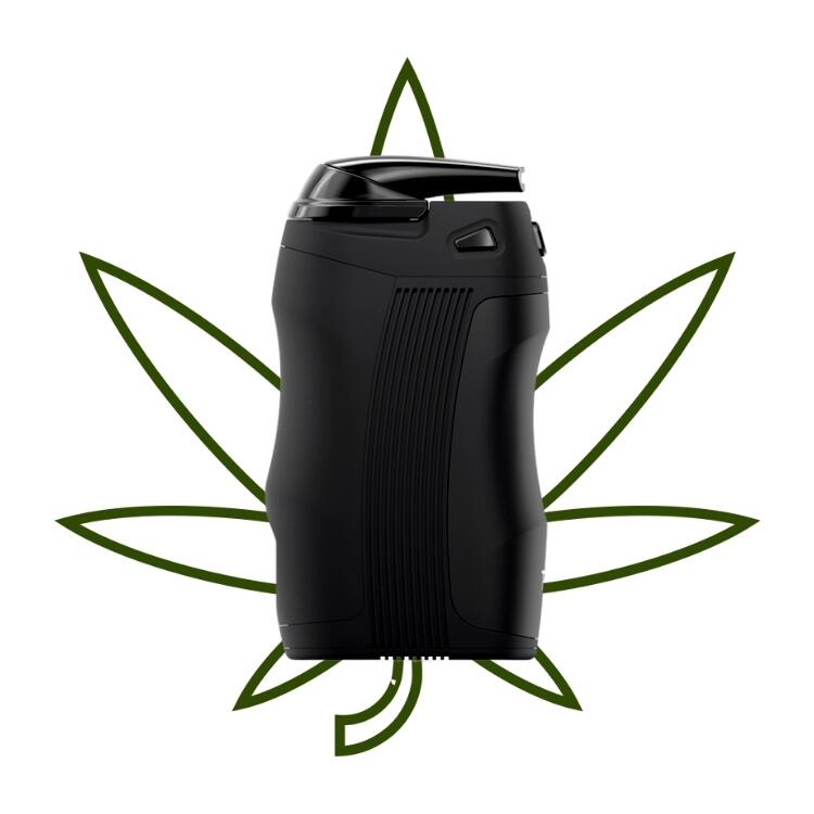Review do vaporizador de ervas Tera