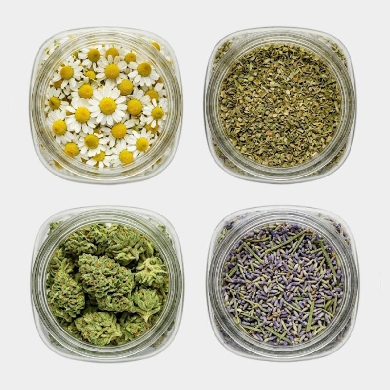Camomila, orégano, cannabis e lavanda