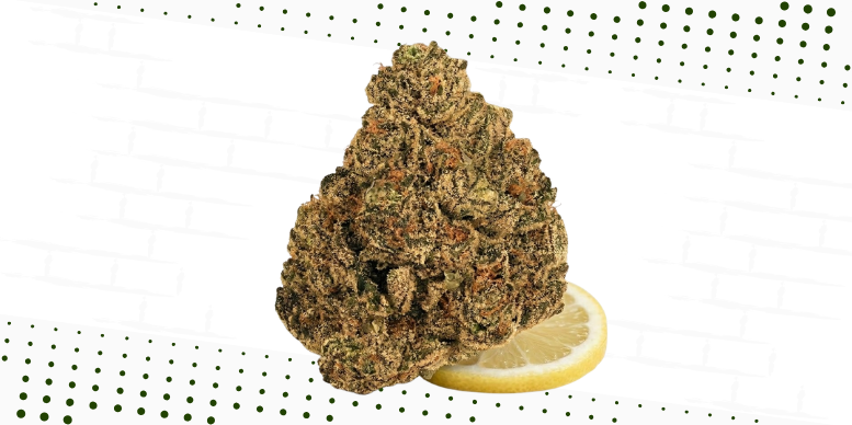 Colombian Gold