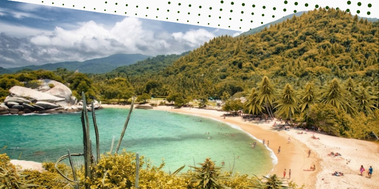 Santa Marta - Colombian Gold