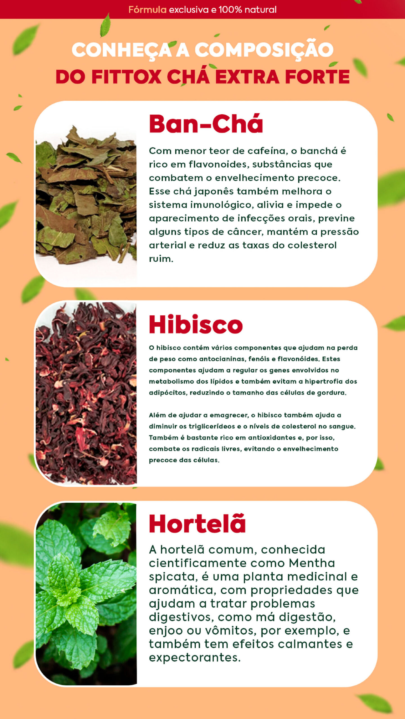 Comprar CHÁ FITTOX DETOX EXTRAFORTE 120g (intestino) - R$70,00