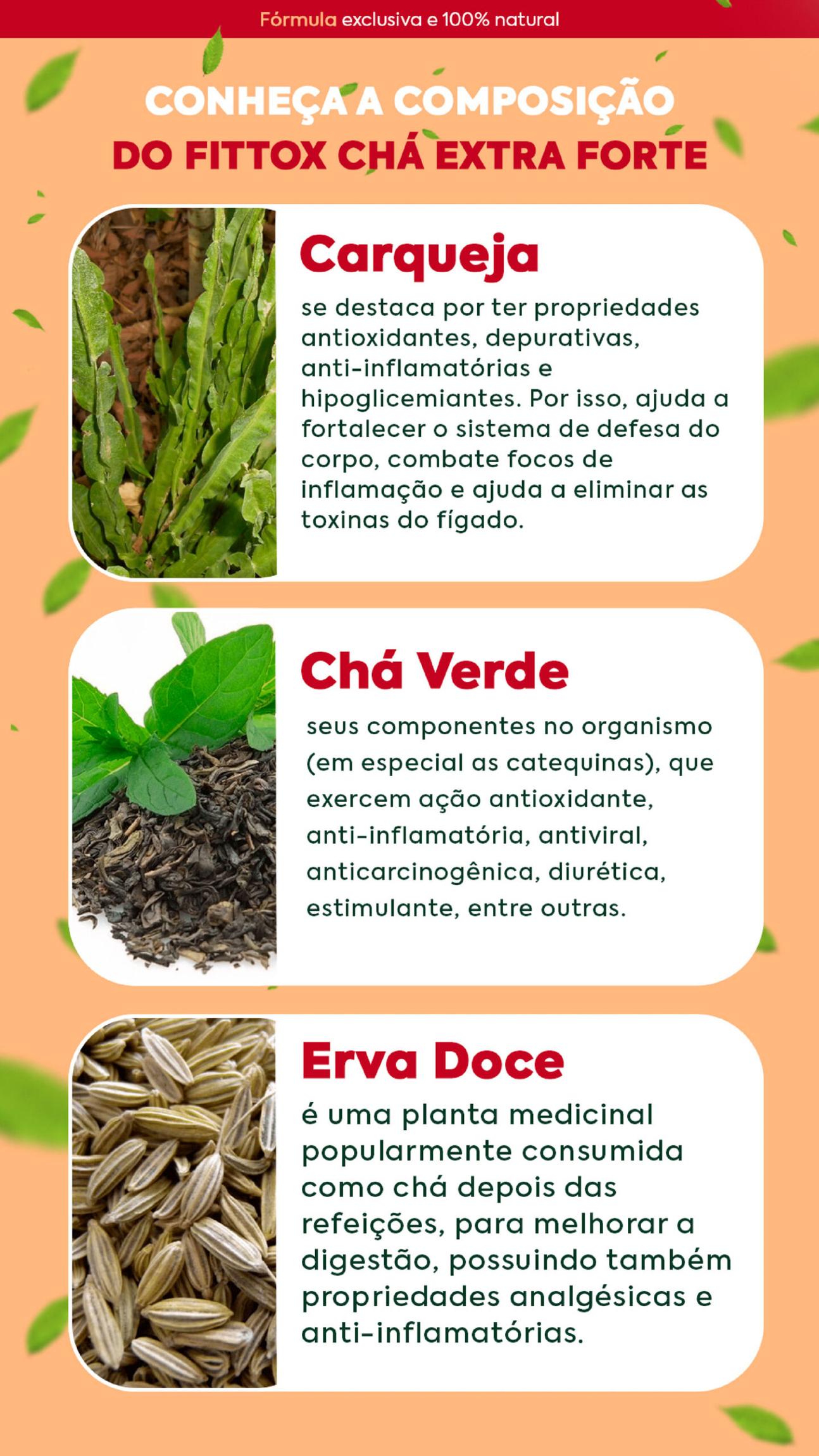 Comprar CHÁ FITTOX DETOX EXTRAFORTE 120g (intestino) - R$70,00