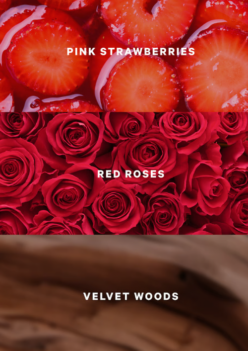 VICTORIA'S SECRET- LOVELY BERRY ROSE FRAGRANCE MIST