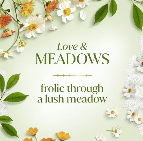 DOVE BEAUTY- LIMITED EDITION BRIDGERTON ANTIPERSPIRANT & DEODORANT STICK - LOVE & MEADOWS - BERGAMOT & WILDFLOWERS SCENT