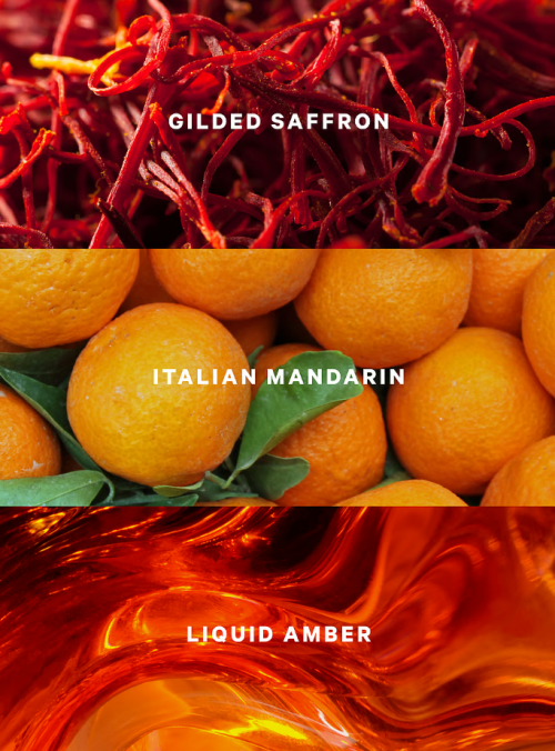 VICTORIA'S SECRET - GOLDEN SAFFRON AMBER FRAGRANCE MIST