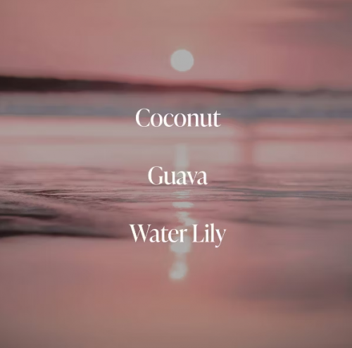 SALTAIR-  CORAL COAST MULTI-LIPID BODY BUTTER