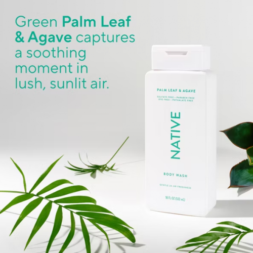 NATIVE- BODY WASH- PALM LEAF & AGAVE 18OZ