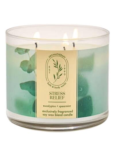 BATH & BODY WORKS - EUCALYPTUS SPEARMINT CANDLE 411G