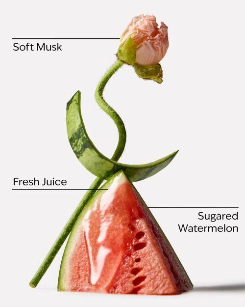 BATH BODY WORKS - WATERMELON WHIRL PERFUME MIST