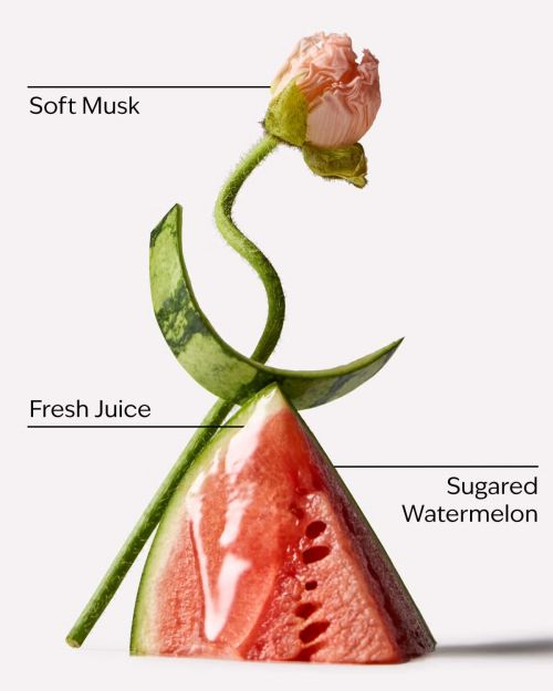 BATH BODY WORKS - WATERMELON WHIRL HAND CREAM