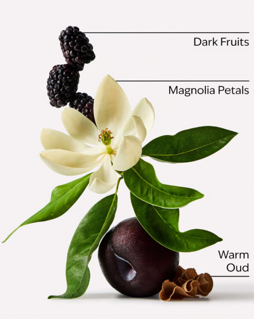 BATH & BODY WORKS- OUD BERRY MINI EAU DE PARFUM