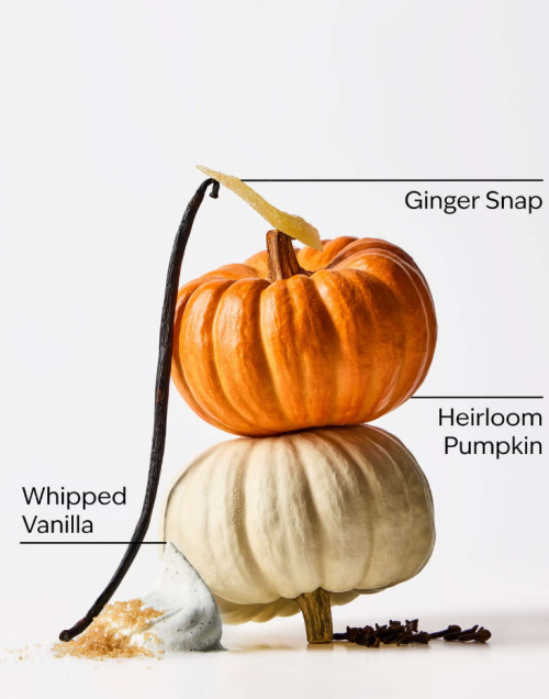BATH & BODY WORKS-SWEET CINNAMON PUMPKIN TRAVEL SIZE FINE FRAGRANCE MIST