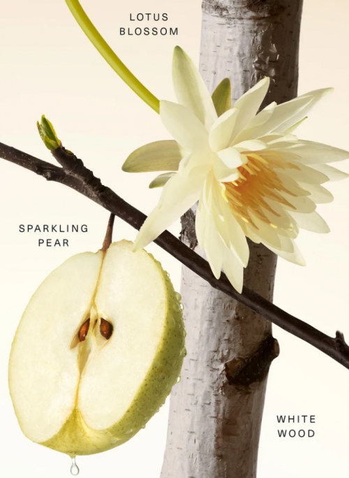 RARE BEAUTY - FRAGRANCE LAYERING BALM - FRUITY PEAR