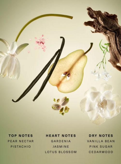 RARE BEAUTY - RARE BEGINNINGS MINI EAU DE PARFUM SET