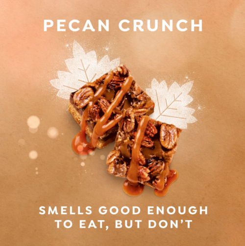 DOVE LIMITED EDITION- HOLIDAY TREATS BODY WASH PECAN BUTTERCRUNCH