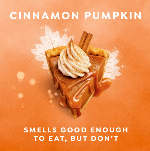 DOVE LIMITED EDITION- HOLIDAY TREATS BODY WASH CINNAMON PUMPKIN