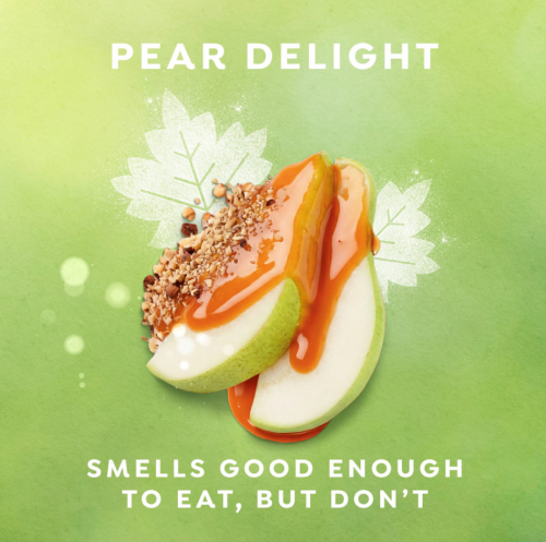 DOVE LIMITED EDITION- HOLIDAY TREATS BODY WASH PEAR HARVEST