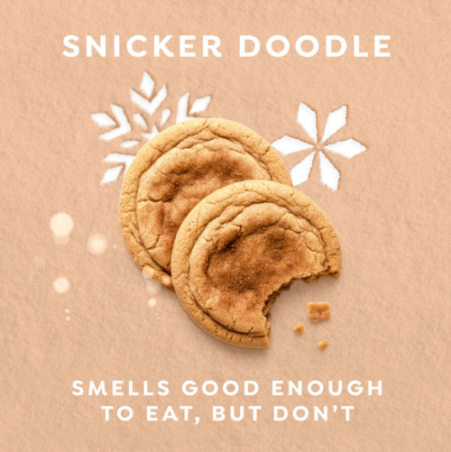 DOVE LIMITED EDITION- HOLIDAY TREATS BODY WASH SNICKERDOODLE