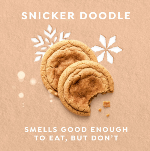 DOVE LIMITED EDITION- HOLIDAY TREATS BODY SCRUB SNICKERDOODLE