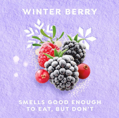 DOVE LIMITED EDITION- HOLIDAY TREATS BODY SCRUB SCRUB WINTER BERRY