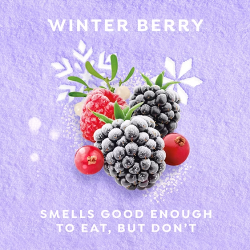 DOVE LIMITED EDITION- TREATS ANTIPERSPIRANT DEODORANT WINTER BERRY