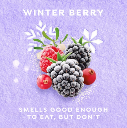DOVE LIMITED EDITION- HOLIDAY TREATS LIQUID HAND WASH WINTER BERRY