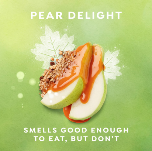 DOVE LIMITED- EDITION HOLIDAY TREATS LIQUID HAND WASH PEAR DELIGHT