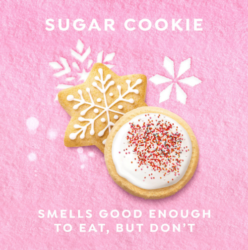 DOVE LIMITED EDITION- HOLIDAY TREATS BODY WASH SUGAR COOKIE SPRINKLE