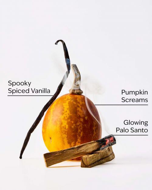 BATH & BODY WORKS - JACK SKELLINGTON POCKETBAC HAND SANITIZER