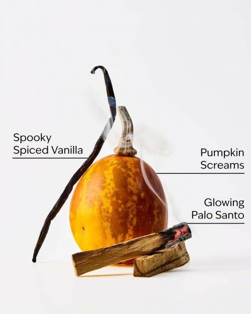 BATH & BODY WORKS - JACK SKELLINGTON BODY WASH