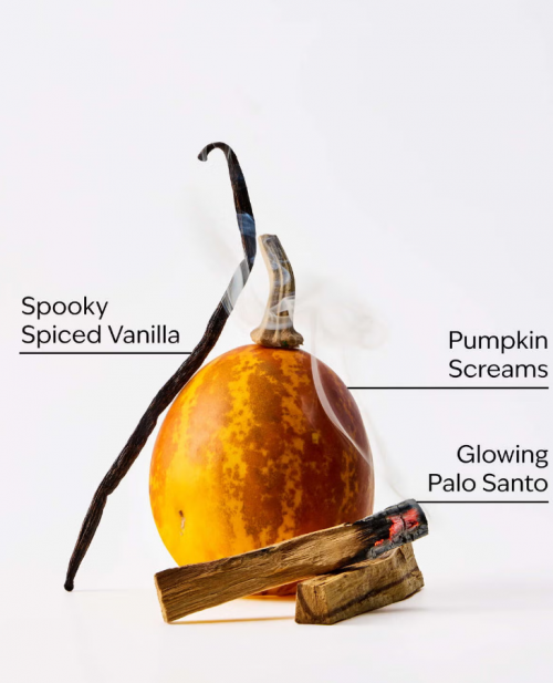 BATH & BODY WORKS - JACK SINGLE WICK CANDLE 227G