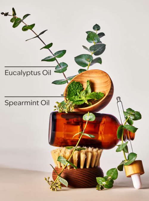 BATH BODY WORKS - EUCALYPTUS SPEARMINT CANDLE 227G