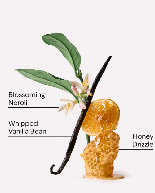 BATH & BODY WORKS- WHIPPED HONEY & VANILLA POCKETBAC HAND SANITIZER