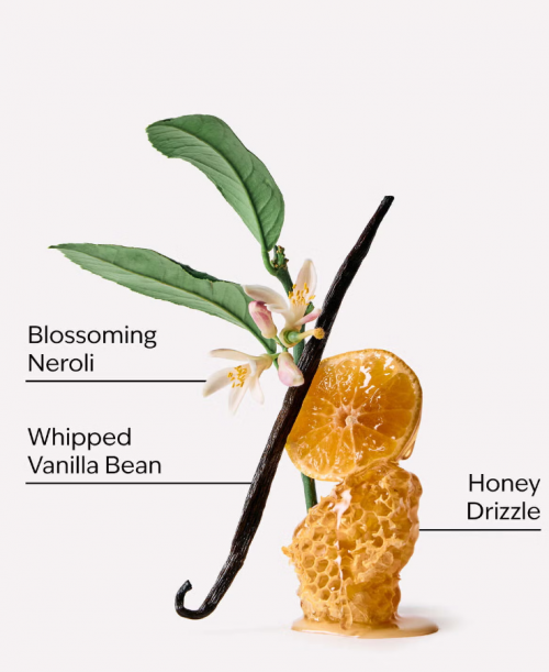 BATH & BODY WORKS - WHIPPED HONEY & VANILLA CANDLE 411G