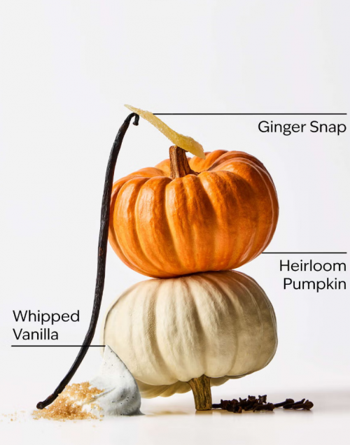 BATH & BODY WORKS - SWEET CINNAMON PUMPKIN CANDLE 411G
