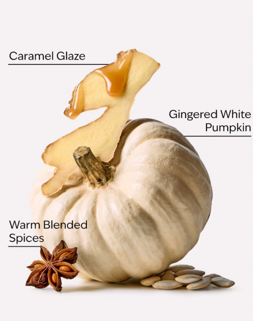 BATH & BODY WORKS - WHITE PUMPKIN CANDLE 411G