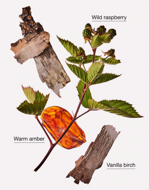 BATH & BODY WORKS- AUTUMN DRIVE BODY CREAM