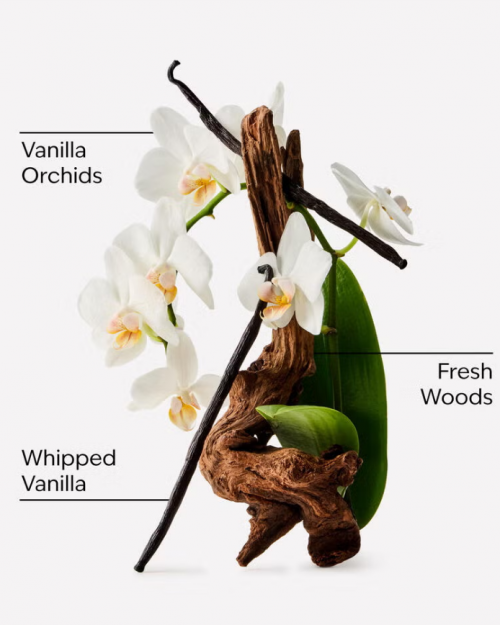 BATH & BODY WORKS -ORCHID EFFECT FINE FRAGRANCE MIST