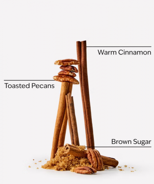 BATH & BODY WORKS - CINNAMON SUGARED PECANS CANDLE 411G