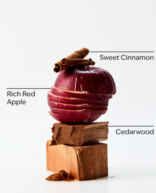 BATH BODY WORKS - 'TIS THE SEASON CANDLE 227G