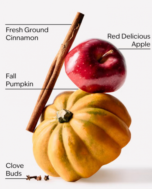 BATH & BODY WORKS- PUMPKIN APPLE POCKETBAC HAND SANITIZER